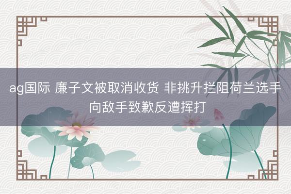 ag国际 廉子文被取消收货 非挑升拦阻荷兰选手 向敌手致歉反遭挥打