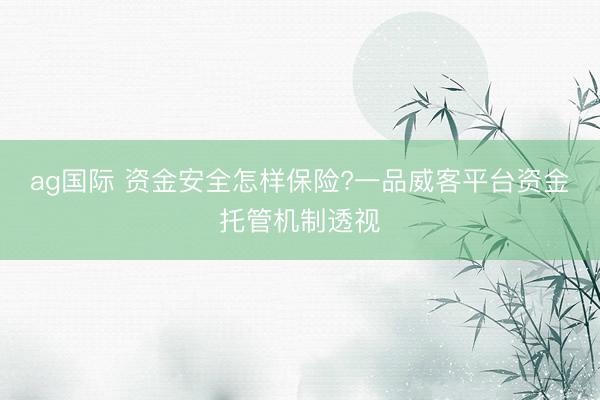 ag国际 资金安全怎样保险?一品威客平台资金托管机制透视