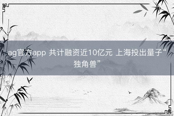 ag官方app 共计融资近10亿元 上海投出量子“独角兽”