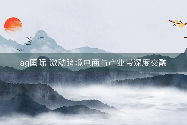 ag国际 激动跨境电商与产业带深度交融
